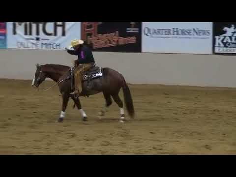 Brother Jackson - 2017 NSHA WRH - Cow Work