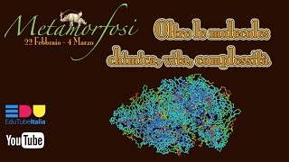 METAMORFOSI || Oltre le molecole: chimica, vita, complessità