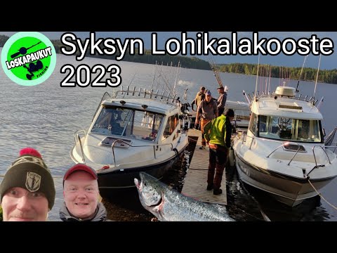 Loskapaukut - Syksyn lohikalakooste