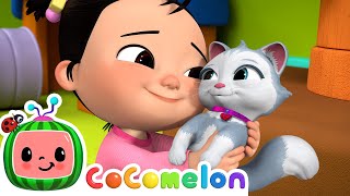Cece Had a Little Cat  CoComelon Nursery Rhymes &a