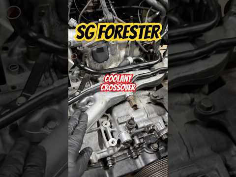 SG Forester Coolant lines on