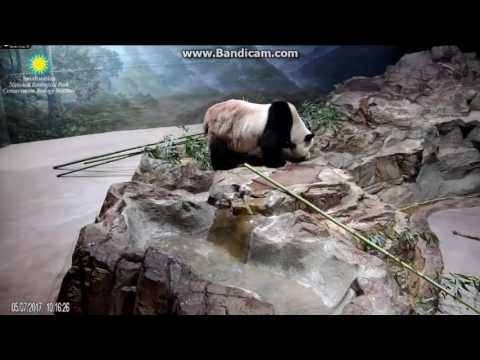 2017.05.07 MOM & DAD FEED TIME