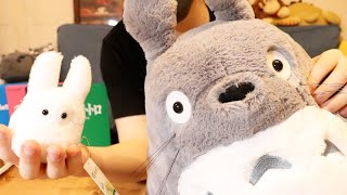 ぎわちん家に主がやってきた【となりのトトロ】