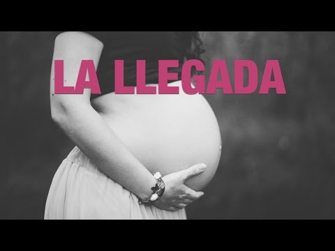 download lagu mp3 mp4 Reflexiones De Embarazo, download lagu Reflexiones De Embarazo gratis, unduh video klip Reflexiones De Embarazo