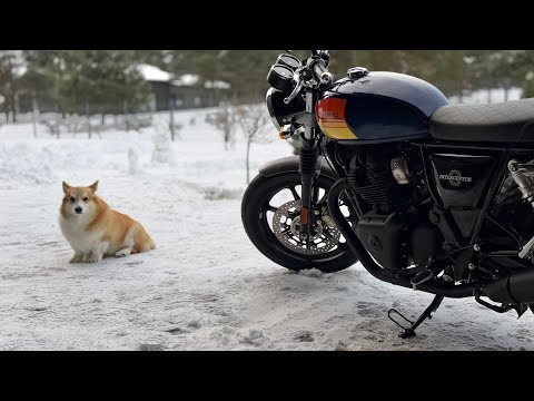 Brand New Royal Enfield Interceptor 650 (2026) Barcelona Blue - Walkaround + Cold Start