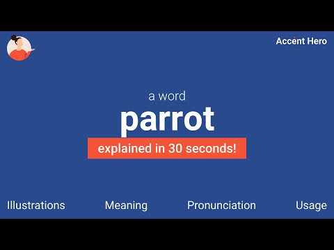PARROT - Meaning and Pronunciation