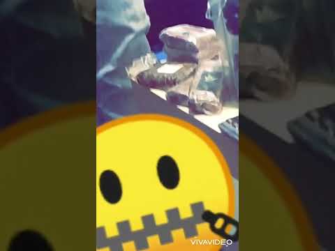 LEKIL. Freestyle OGRAM4 350