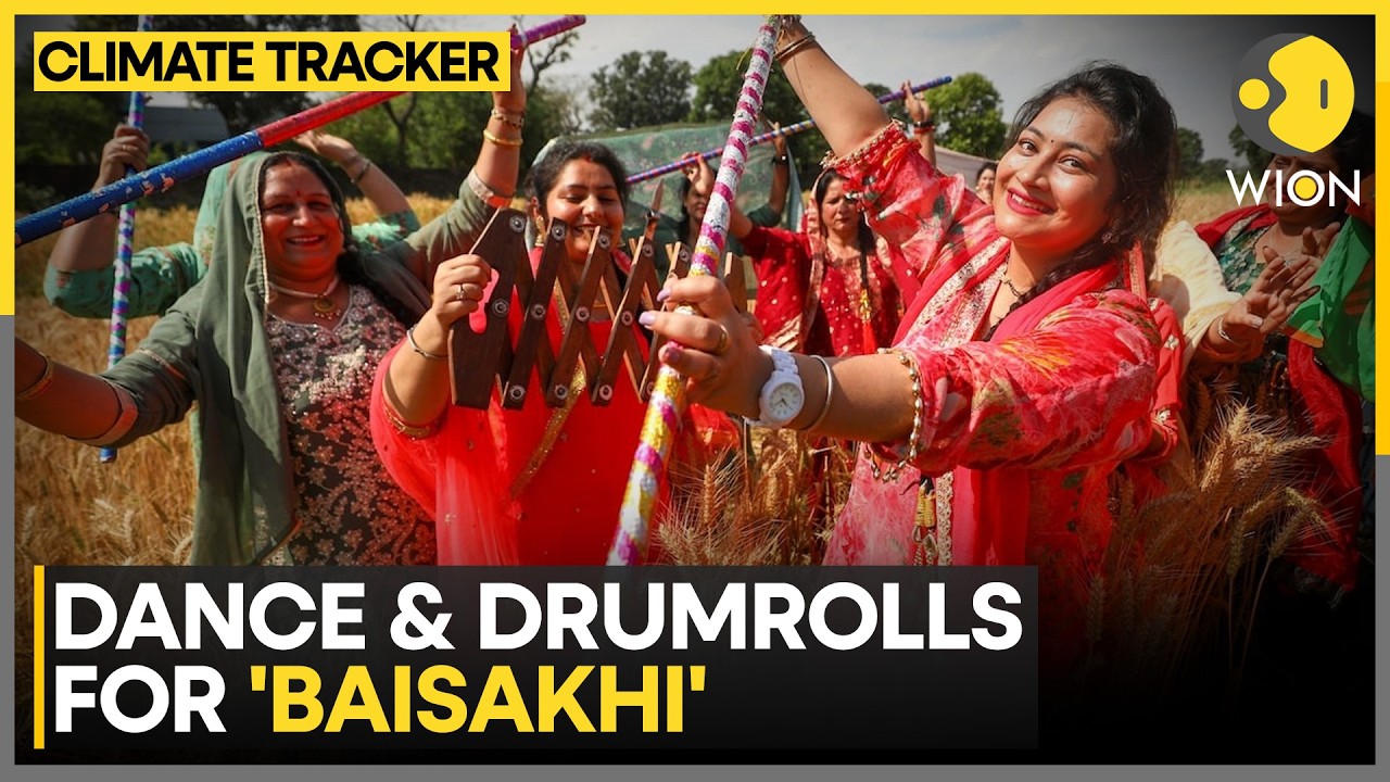 Amritsar Fields Turn Golden as Seasons Shift | WION Climate Tracker