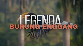 Download lagu Legenda Burung Enggang Bagi Suku Dayak mp3