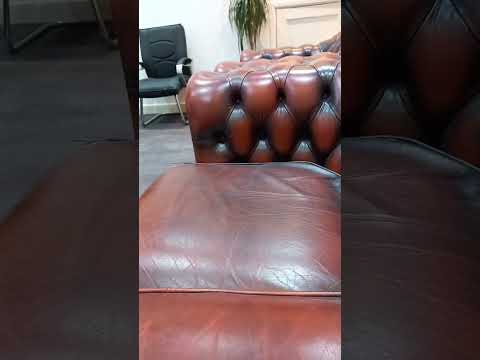 ١٩ يناير ٢٠٢٤