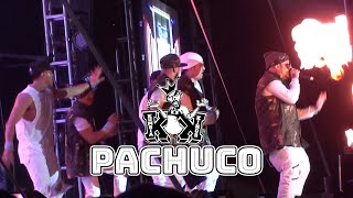 Pachuco - Kumbia Kings