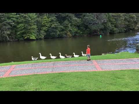 Warkworth, Auckland Region, New Zealand