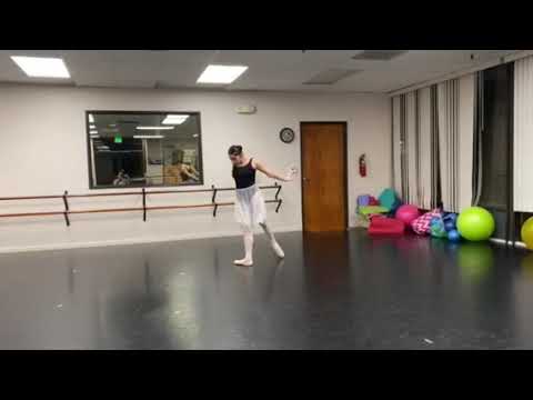 la bayadere nikita variation