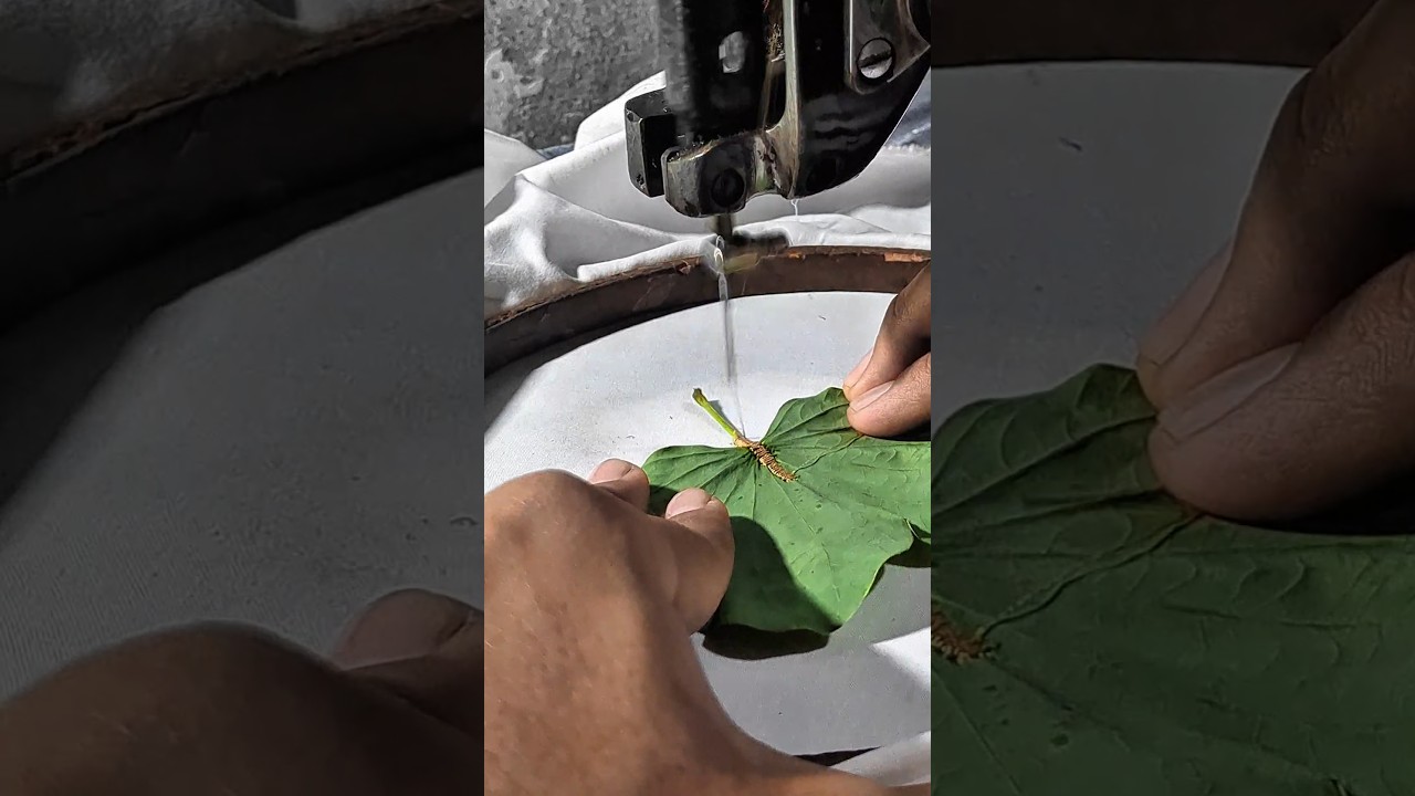 A Leaf Becoming Art... What's the Result?#embroidery #leafart #art #handembroidery