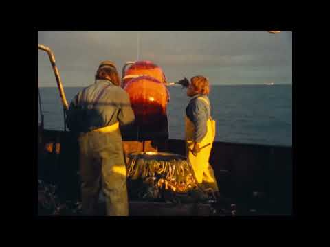 De platte jungle (Johan van der Keuken) teaser