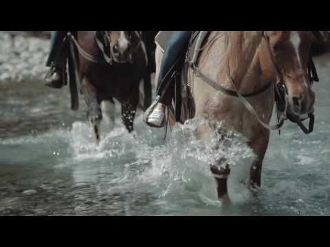 Banff Tours & Activities - Discover Banff Tours