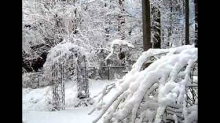 In The Bleak Midwinter.wmv