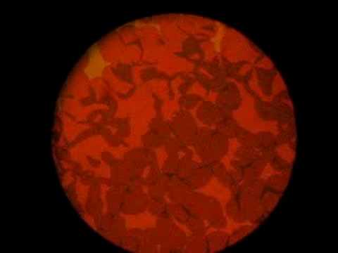 I-N*-SmA* phase transition