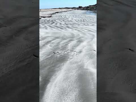 Chile’s Gray Sand & Ocean Sound 🌊 | Caldera Totoraillo