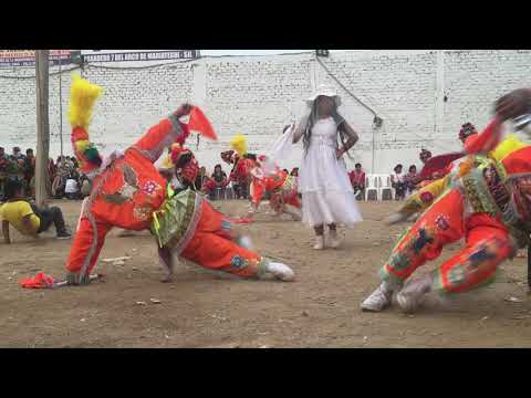 Negrillos de andahuaylas 2020 parte 2