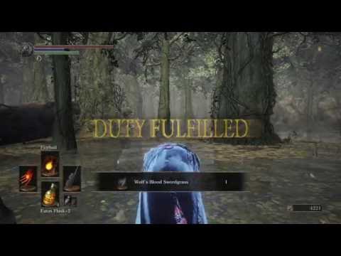 Dark Souls III: Watchdogs Of Farron MLG Speedrun In Just 4:20!!!!!