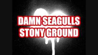 Damn Seagulls - Stony ground