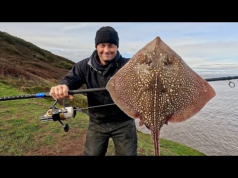 Father and Son Shore Fishing - Who will catch the most? | The Fish Locker