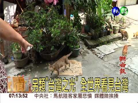 猴硐的貓 紅到美國Yahoo首頁