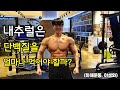 내추럴은 단백질 얼마나 먹어야할까? 로이더와 내추럴의 차이점