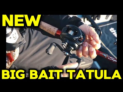 New BIG BAIT TATULA!!!