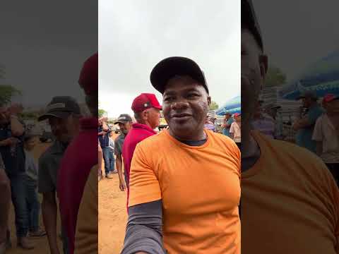 Feira de caprinos é Ovinos de Jataúba PE 23/10/2036