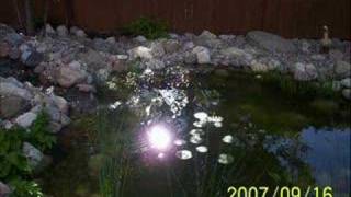 Love Is A Many Spendored Thing