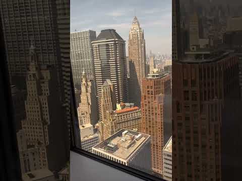 Ashley's First Day as a MJHS Intern