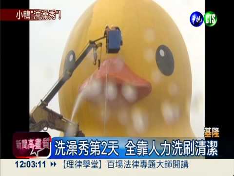 黃小鴨變黑白郎君 繼續"洗澎澎"