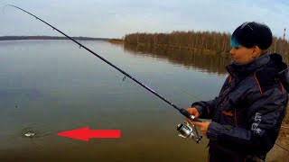 Ссылка
