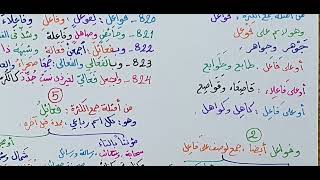 صورة شرح ابن عقيل ( 820-824 ) 178