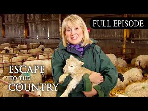 Escape to the Country Season 12 Episode 29: Devon (2011) | FULL EPISODE
