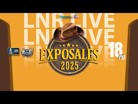 ExpoSales - 18/10