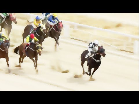 10/2(목)-손석범-승부93.2배/메인15+14배/다적중+중배당/싹다[가야할마필]또,복병/또,터져..!!