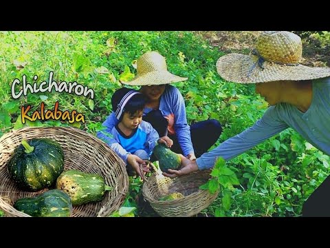 o sabor crocante de Chicharon Kalabasa - biscoito de abóbora | kabagis