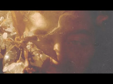 EVABEE - Feel It Now (feat. BONYA) - Official Video