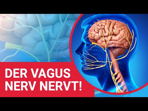 Wenn der Vagus Nerv nervt!