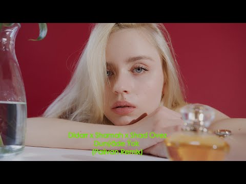 Didarr x Shamah x Shad Ovez - Dunyade Yok (Palivan Remix) [Mood Video]