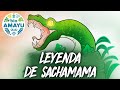 SACHAMAMA Amazonian Legend BIO AMAYU