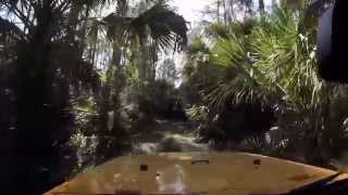 preview picture of video 'Big Cypress National Preserve'