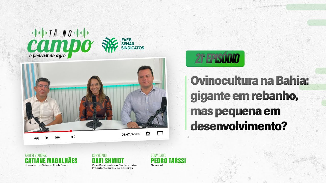 PODCAST TÁ NO CAMPO - EP 21 | Ovinocultura: o potencial de uma cadeia pouco explorado na Bahia