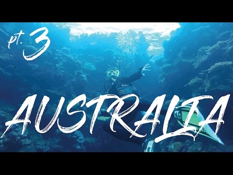 MYSTERY FLIGHTS AUSTRALIA PART 3 | GREAT BARRIER REEF SCUBA DIVING | ZOO | SURFING