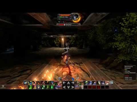 The Fall Of The Dungeon Guardians - Part 21 - Elven Assassin