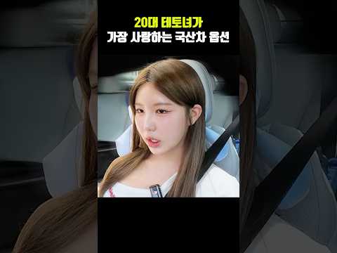 20대 테토녀가 가장 사랑하는 국산차 옵션