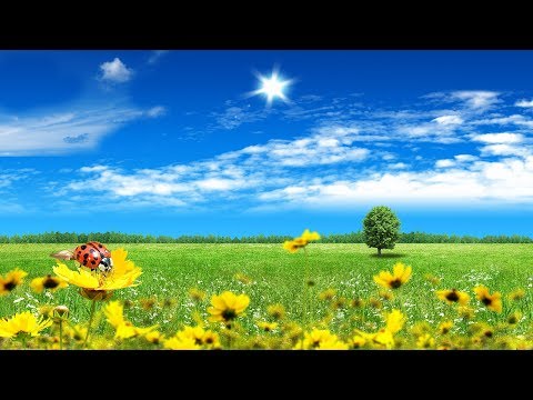 Thể hiện bởi Uyên Vy